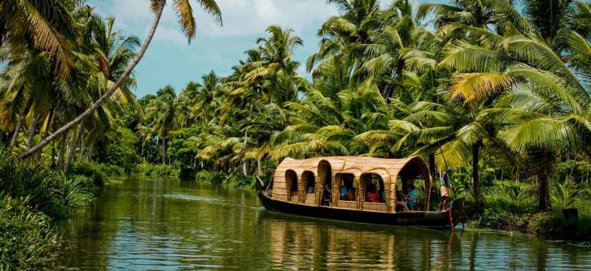 Indian women on a tea plantation.